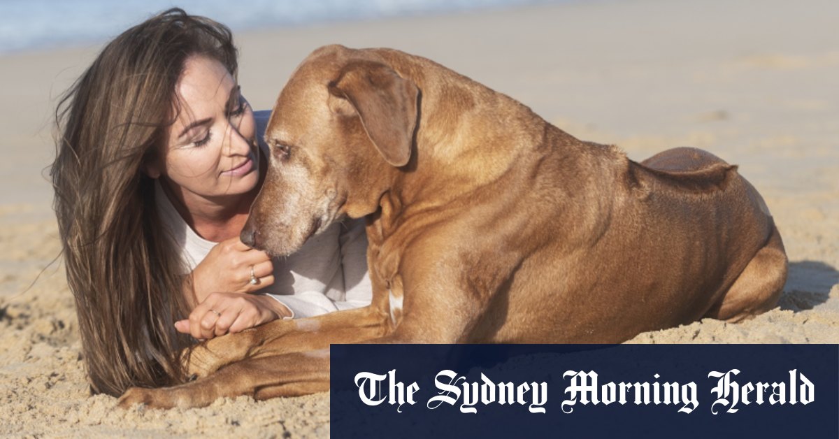 Compass TV special Goodbye My Dog on the ABC