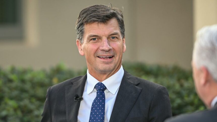 Allies’ investment in critical minerals is Australia’s opportunity: Angus Taylor