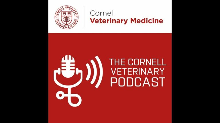 Artificial Intelligence in Veterinary Medicine: A Brave New
World