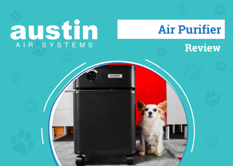 Austin Air HealthMate Review 2024: An Expert’s
Breakdown