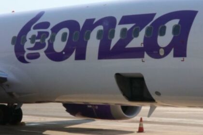 Budget airline Bonza given two months to find buyer