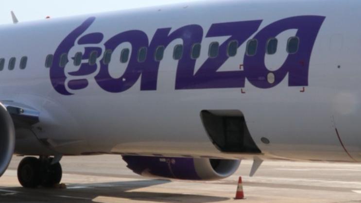 Budget airline Bonza given two months to find buyer