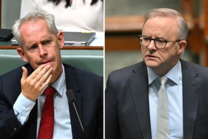 Charges against former detainees heap fresh scrutiny on Anthony Albanese and Immigration Minister Andrew Giles
