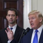 Donald Trump’s Potential VP List Now Includes Tom Cotton, the Guy Who’s Called for Vigilante Justice on Protesters and Ripping People’s Skin Off: Report