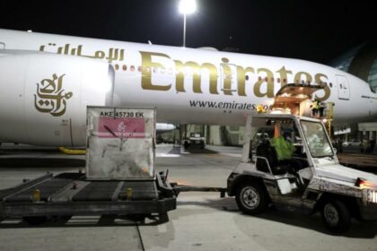 Emirates flight lands after hitting flamingos in Mumbai