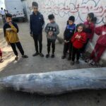 Palestinians stand next to an unexploded bomb dropped by an Israeli F-16 warplane in Deir al-Balah, central Gaza Strip, on January 1, 2024
