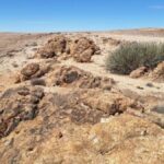High-grade visible Namibian lithium emerges for Askari