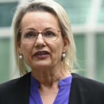 Sussan Ley demands broadcasters stop airing Sean ‘Diddy’ Combs after he admits assaulting former girlfriend