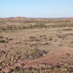 Venus nabs new ground in Telfer gold-copper elephant country
