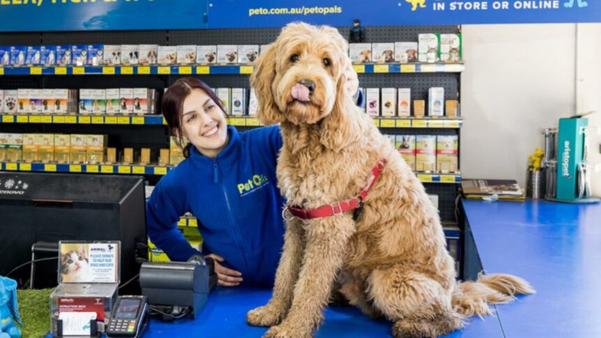 ‘Bigger dog’: Pet specialty retailer PetO makes new purchases following Petstock divestitures