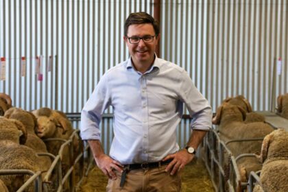 ‘Morally bankrupt’: Nationals leader David Littleproud slams shutdown of live sheep export industry