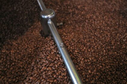 Brazil coffee crop disappoints after beans affected by drought