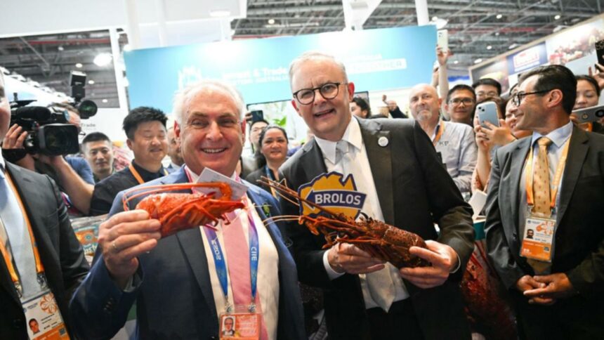 End to China's Australian rock lobster ban 'very near'