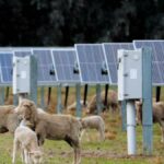 Farmers dig in on renewables as transition accelerates