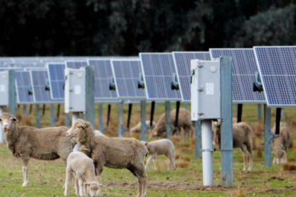 Farmers dig in on renewables as transition accelerates