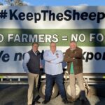 Federal MP Rick Wilson Bill opposes ‘rushed’ Bill to ban live sheep export