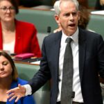 No drones tracking detainees, Andrew Giles concedes