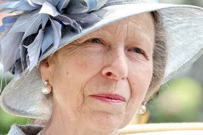 Princess Anne Released From Hospital After Horseback Riding Injury