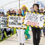 Rally to save Penguin Island colony demands action from State Government to protect small population