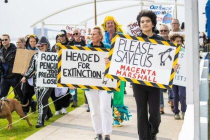 Rally to save Penguin Island colony demands action from State Government to protect small population