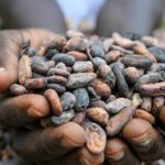 In March, cocoa prices rocketed to more than $10,000 a tonne in New York after a poor harvest in West Africa