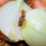 Woolworths partners with Myalup-based vegetable grower LJM Produce to bring tearless onions to WA