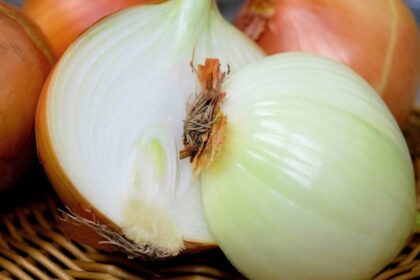 Woolworths partners with Myalup-based vegetable grower LJM Produce to bring tearless onions to WA
