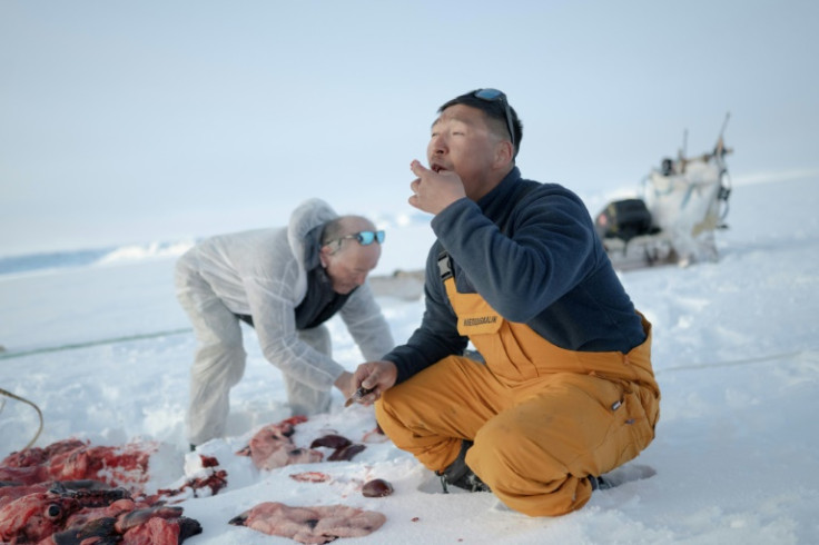 Inuit hunters Hjelmer Hammeken (left) and Martin Madsen eat the liver of the ring seal they just killed