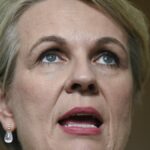 ‘Completely irrational’: Plibersek takes aim at Coalition over un-costed nuclear push