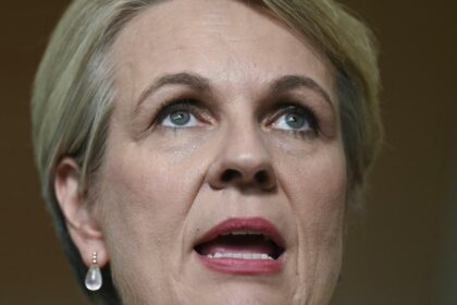 ‘Completely irrational’: Plibersek takes aim at Coalition over un-costed nuclear push