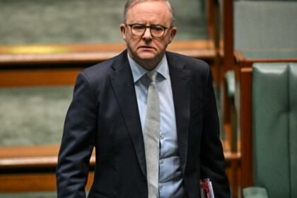 ‘Dutton worse than Morrison’: Anthony Albanese goes on attack over climate