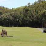 Clive Palmer under fire for golf course gate, blocking thoroughfare for wildlife
