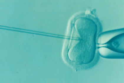 Egg freezing success rate hits 26 per cent as the average age for starting IVF rises to 35