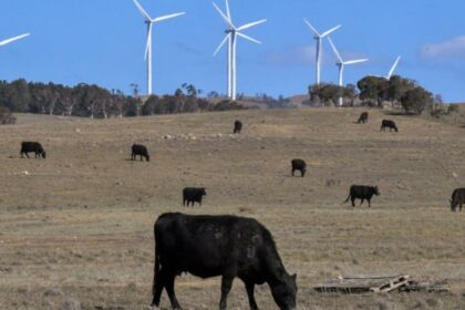 Farmers call for more renewable energy planning control