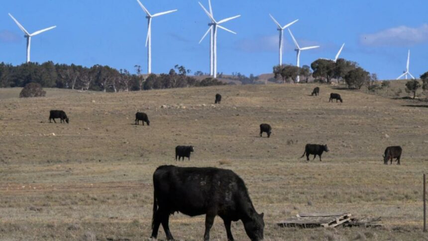 Farmers call for more renewable energy planning control