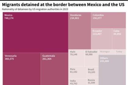 Graphic showing the nationality of migrants detained at the border between Mexico and the United States in 2023, according to data from the US Customs and Border Protection