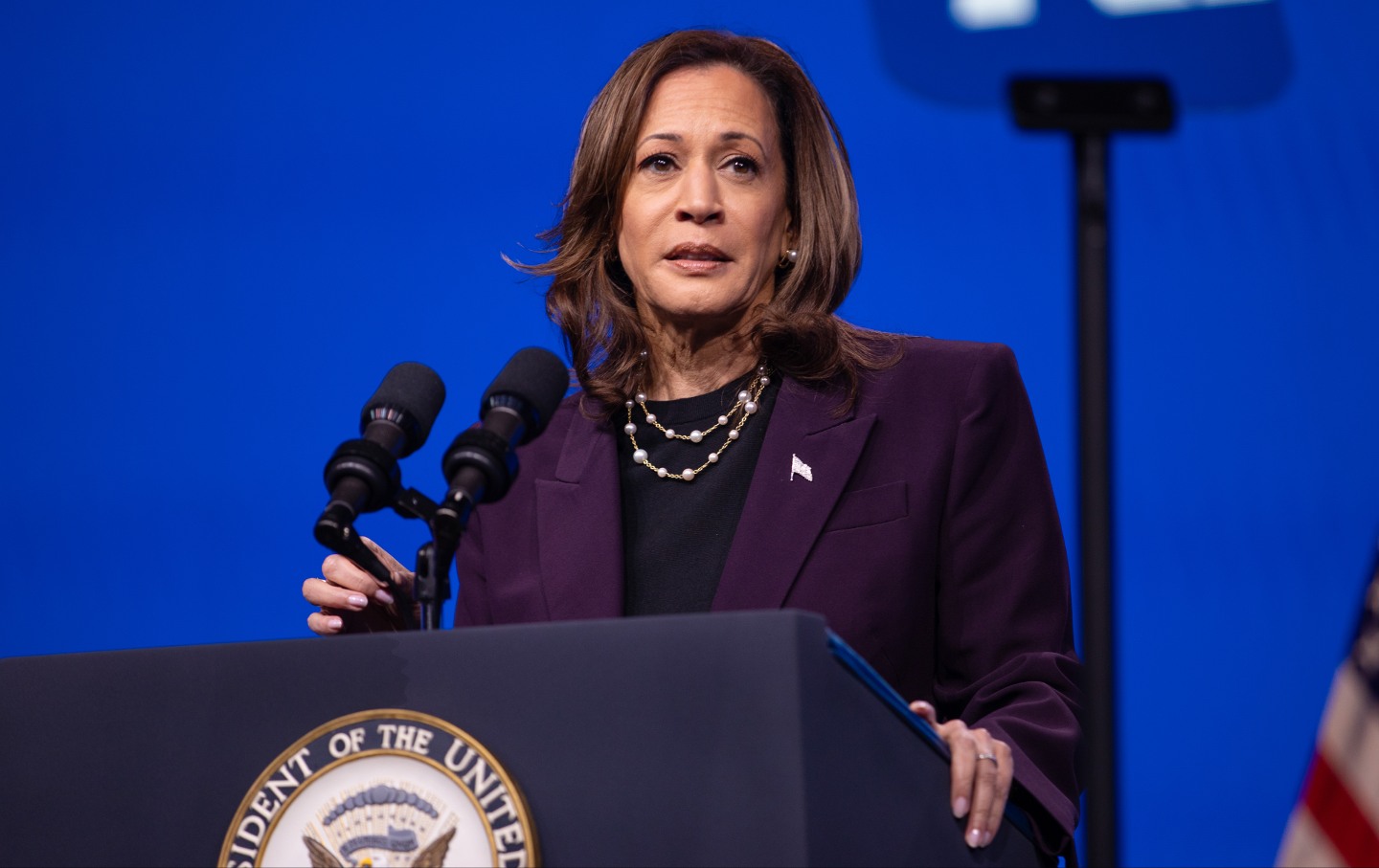 Vice President Kamala Harris speaks at the American Federation of Teachers' 88th National Convention on July 25, 2024, in Houston, Texas.