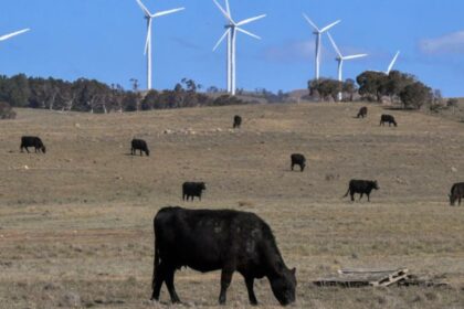 Giant wind farm that fanned protests gets green light