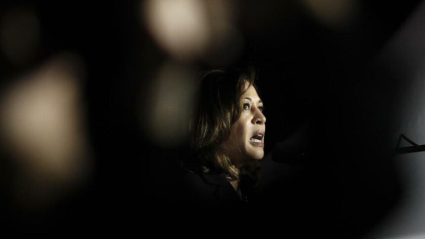Harris in spotlight as she fights for presidential nod