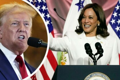 Paul Murray: Democrats boxed themselves into corner with Kamala Harris who they must pick to face Donald Trump