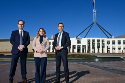 Peak business groups slam proposed Nature Positive laws and climate trigger at heated Senate inquiry