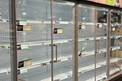 Picture of empty egg shelves shows grim Aussie reality