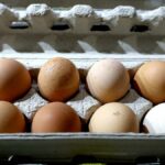 Warning price of eggs could rise due to shortages linked to bird flu, Ritchies IGA boss says