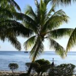 World Bank throws lifeline to Pacific Islands