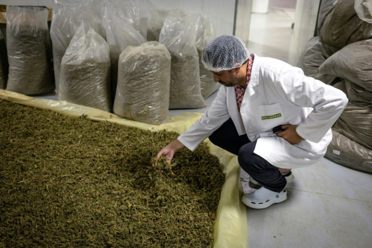 Aziz Makhlouf's factory transforms cannabis into different products -- CBD resin, oil, flour, creams, candies and food supplements