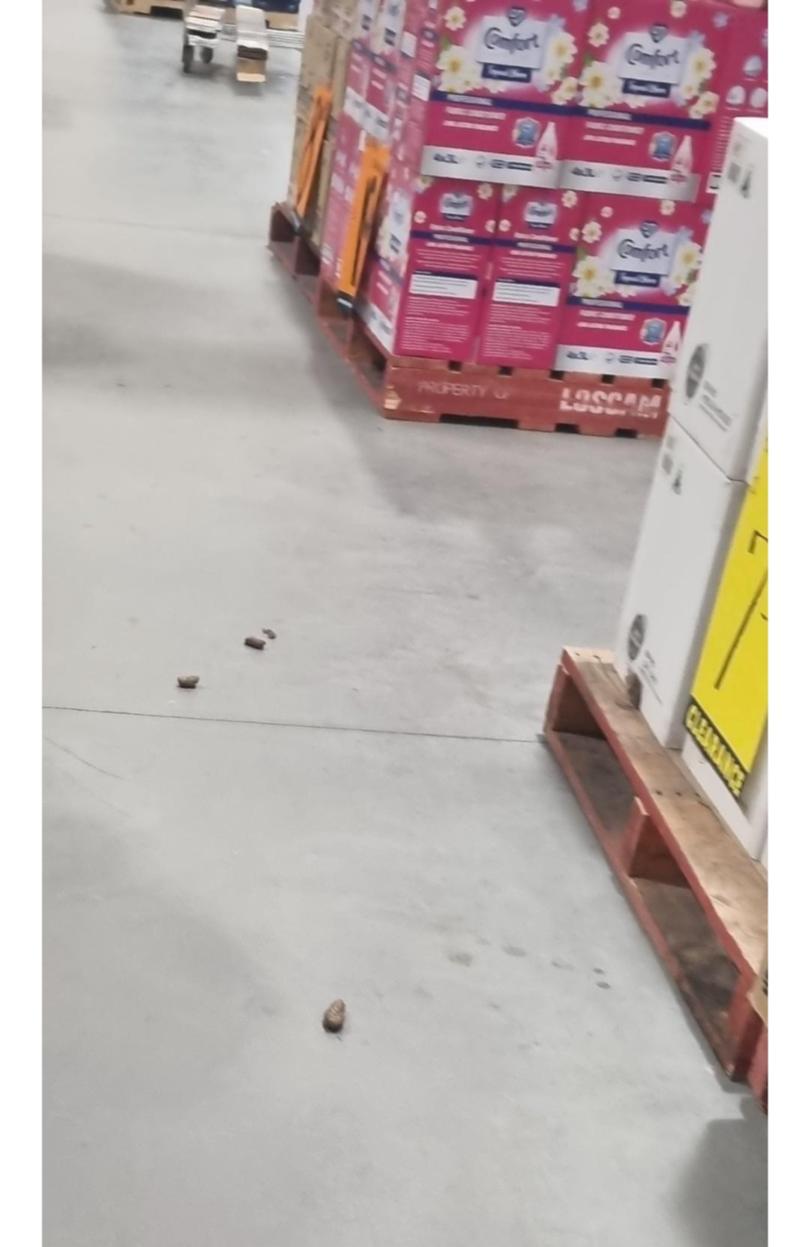Bunnings customers have been left outraged after a pet owner left dog poo scattered throughout an aisle. Supplied