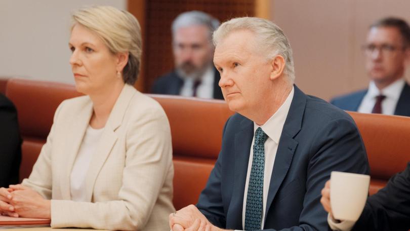 Environment Minister Tanya Plibersek and Home Affairs and Immigration Minister Tony Burke. NewsWire / David Beach