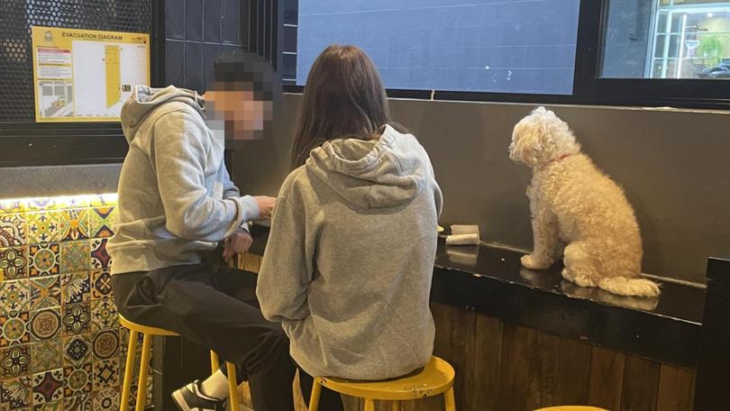 It comes after two Guzman y Gomez customers have been slammed for allowing their pet dog to sit on a counter at the popular Mexican restaurant in Newtown. Supplied