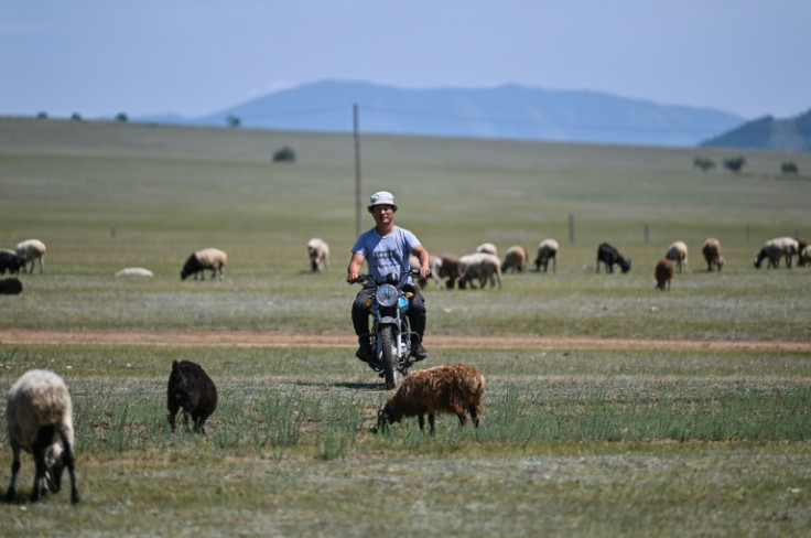 For Khurtsbaatar Enkhbilig, 43, a former publisher, the decision to move to the countryside and become a herder was years in the making