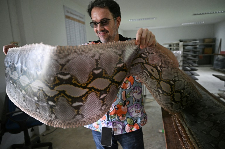 Python farmer Emilio Malucchi says the meat from his snakes is 'a complete waste' as it is routinely sold to fish farms or simply discarded